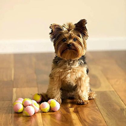 Puppy Mini Fetch Pet Little Tennis Balls -Pack of 12 
