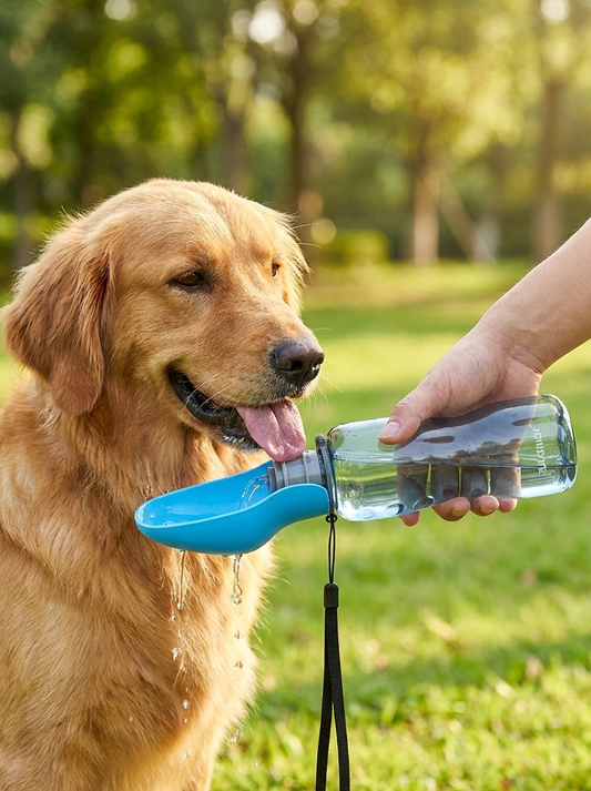 Portable Dog Drinking Bowl for Outdoor Travel