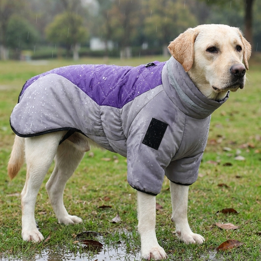 Waterproof  Winter Pet Coat