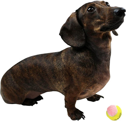 Puppy Mini Fetch Pet Little Tennis Balls -Pack of 12 